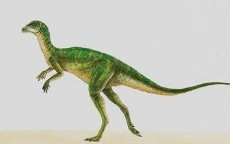 什么恐龙是最小的？
