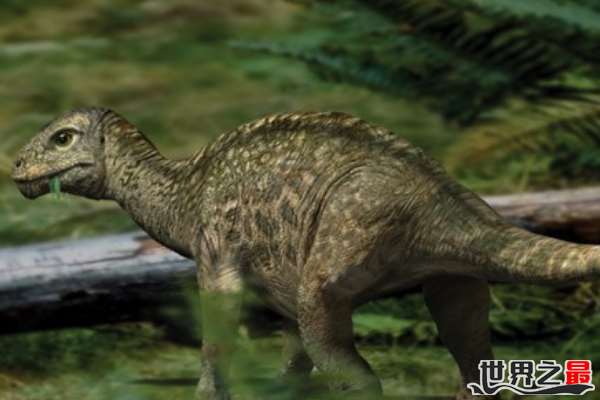 鼠龙:历史上化石体型最小的恐龙(最小仅20厘米)
